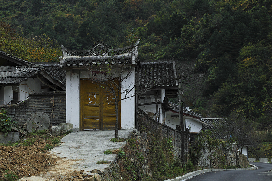20131015_8633.jpg
