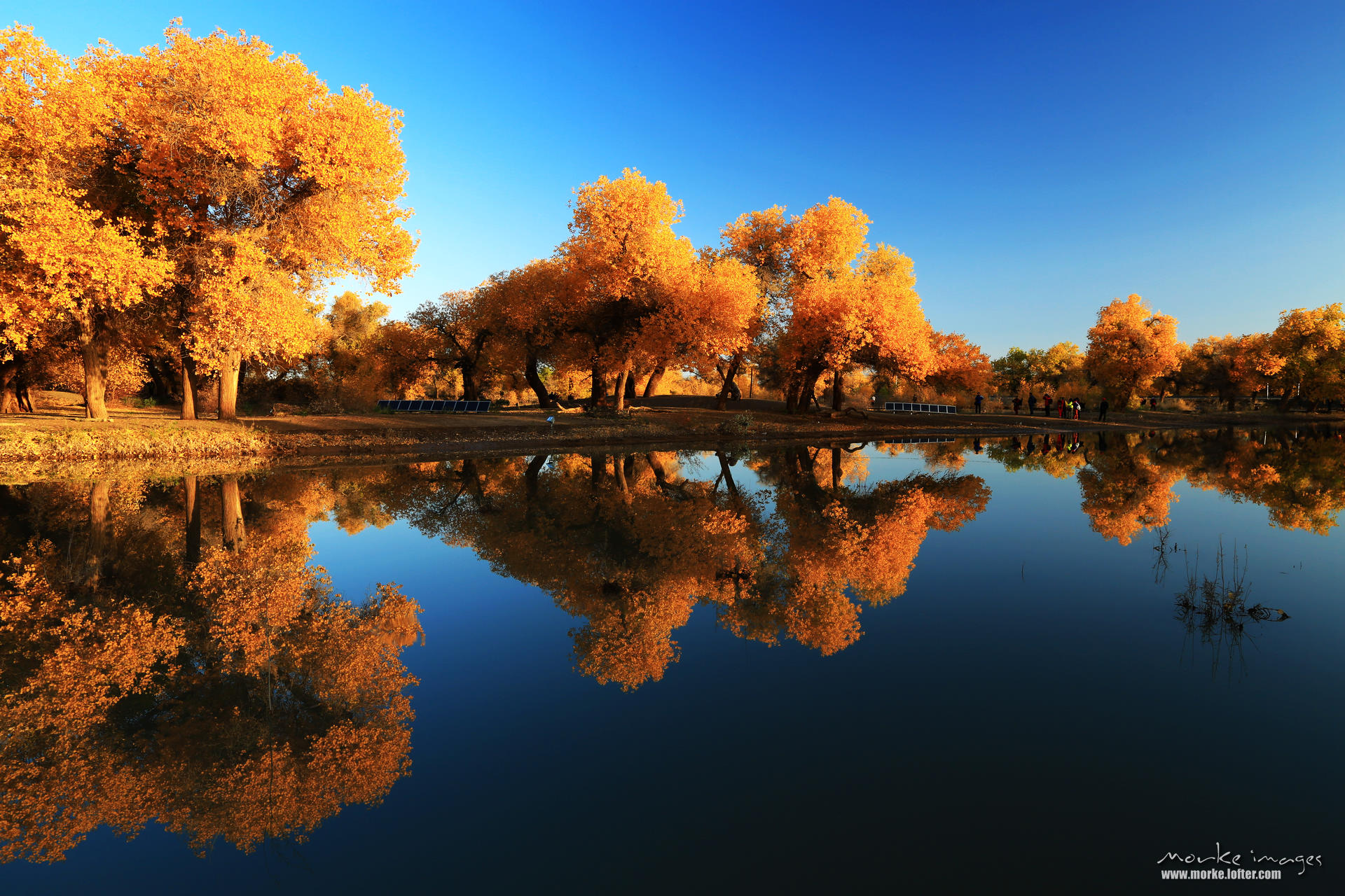 1G8A7010a.jpg