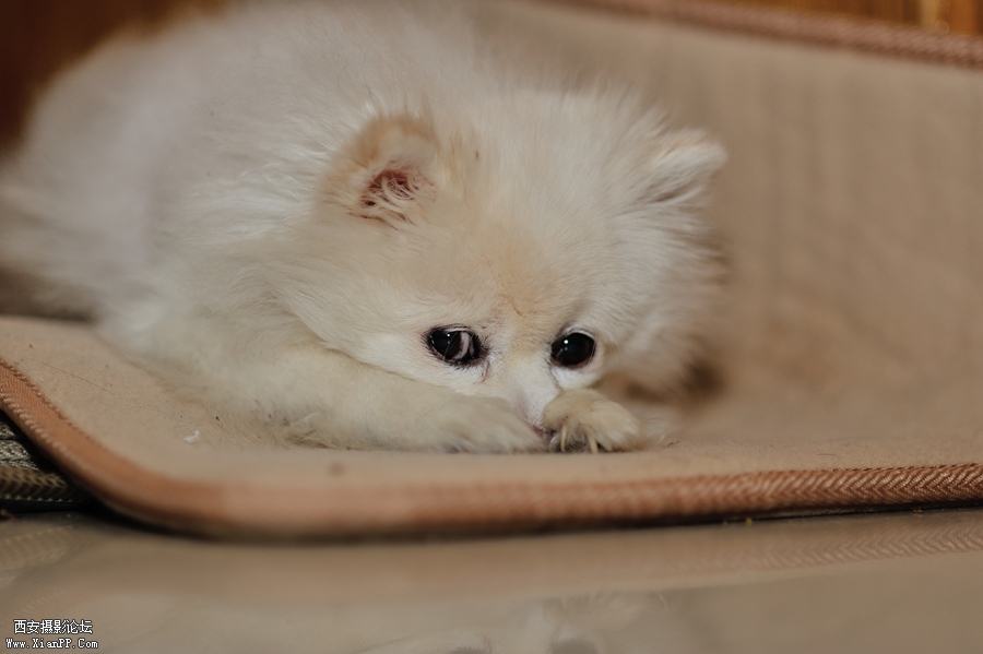 DSC_9265.jpg