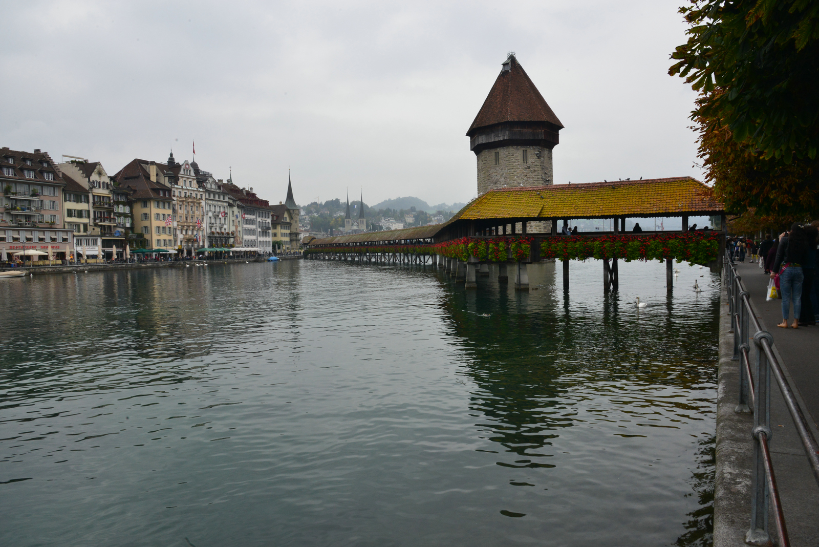 DSC_9880.JPG