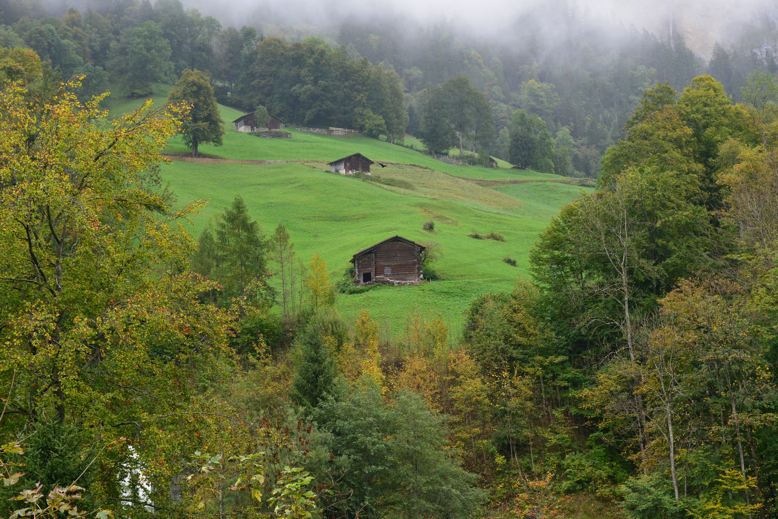 DSC_9966.JPG