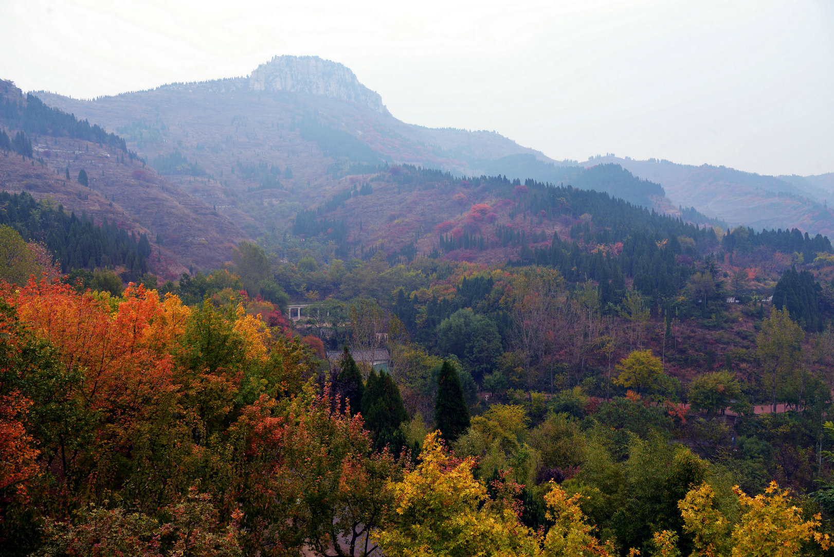 DSC_2681_副本.JPG