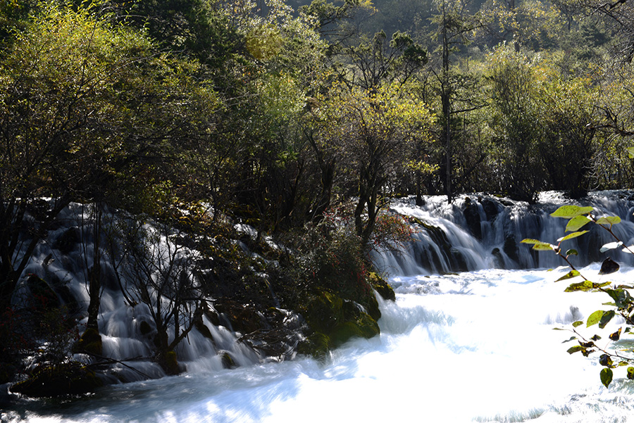 DSC_1253.JPG