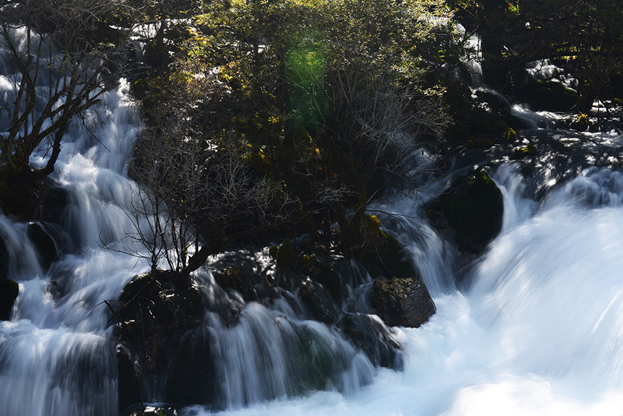 DSC_1272.JPG