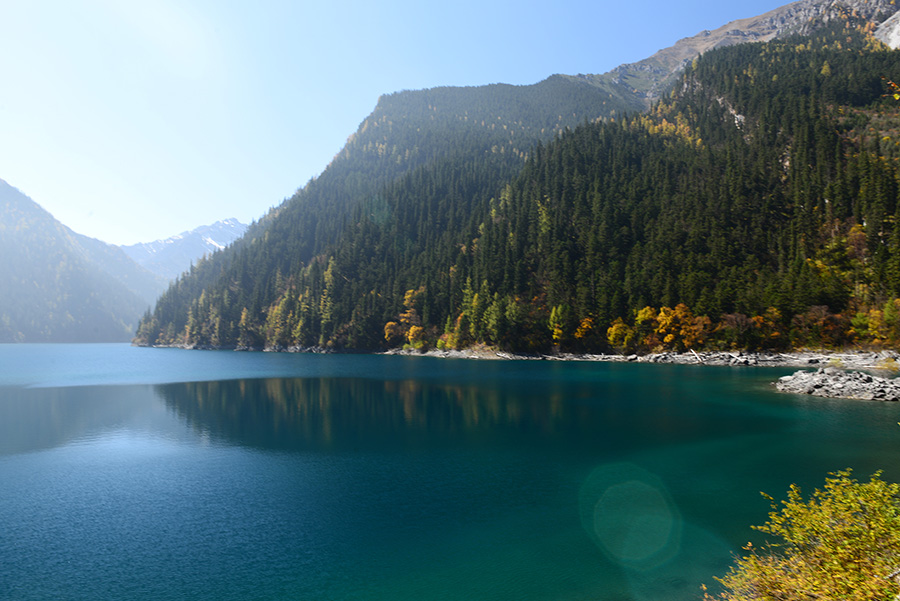 DSC_1403.JPG