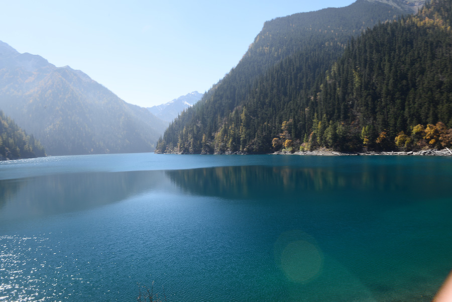 DSC_1408.JPG