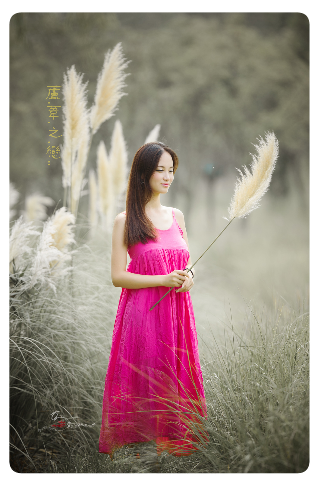 20130901_7137.jpg