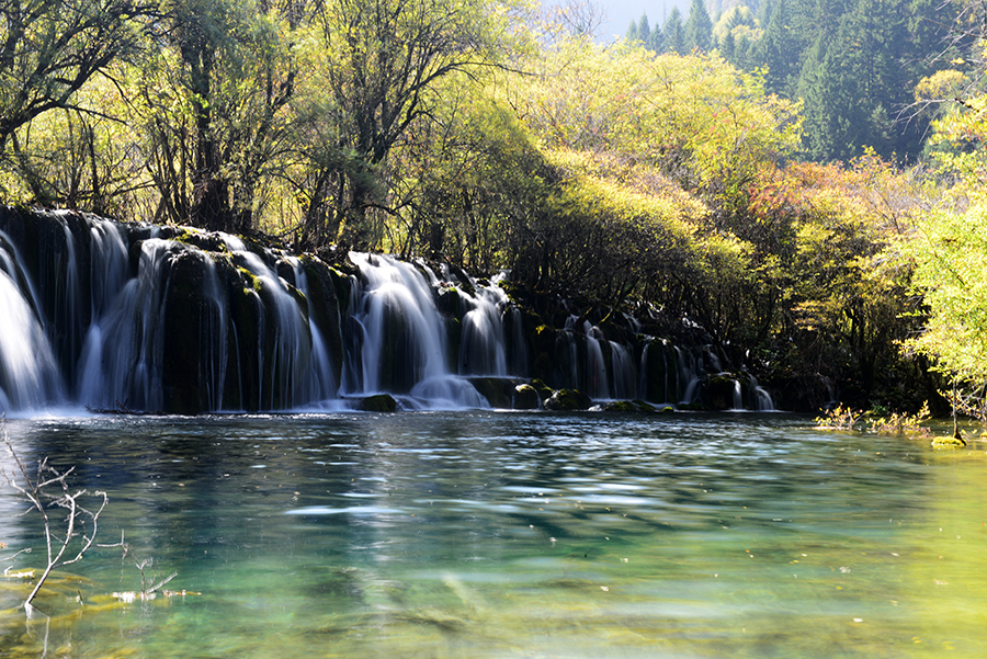 DSC_1578.JPG