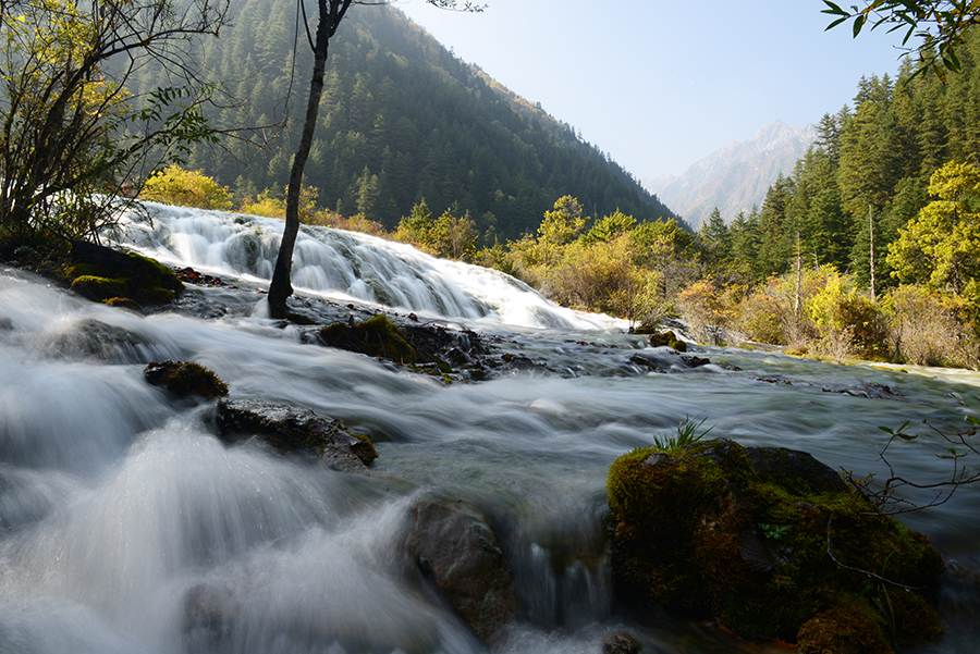 DSC_1800.JPG