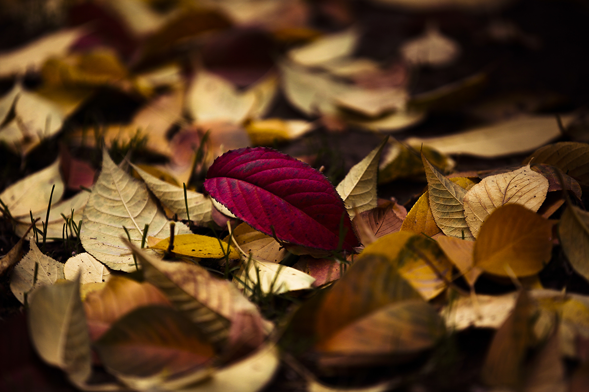 20131110_0045.jpg