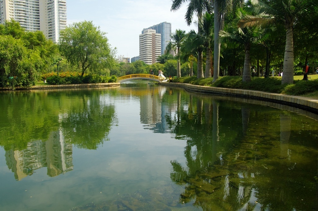 IMGP2657 (复制) (复制).JPG