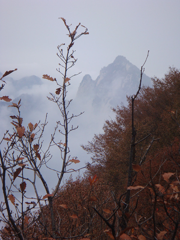 DSC01114_副本.jpg