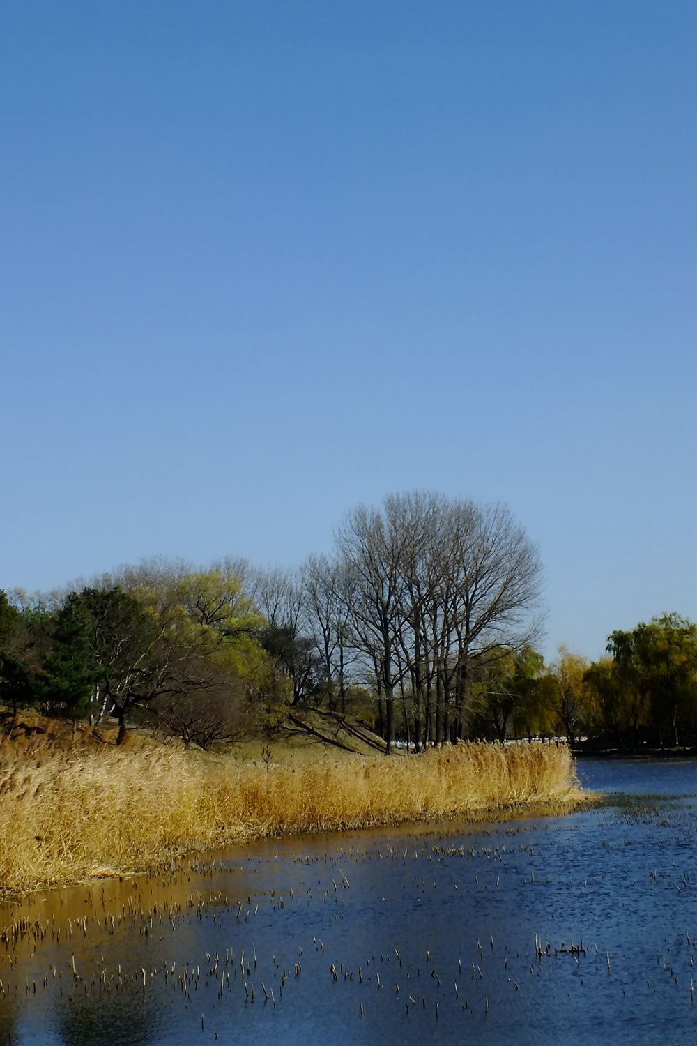 DSCF0895_副本 - 副本.jpg