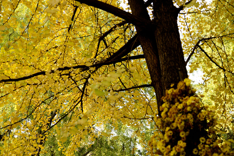 DSC_1226.jpg