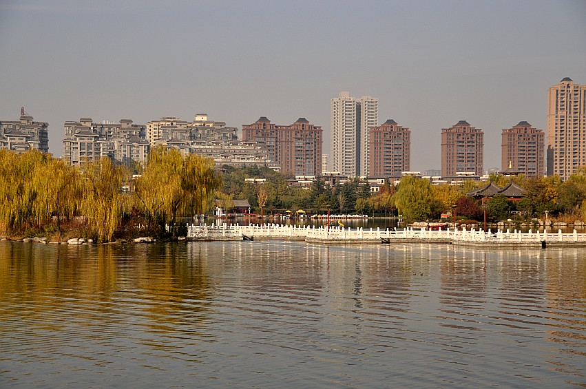 DSC_0052_conew1.jpg