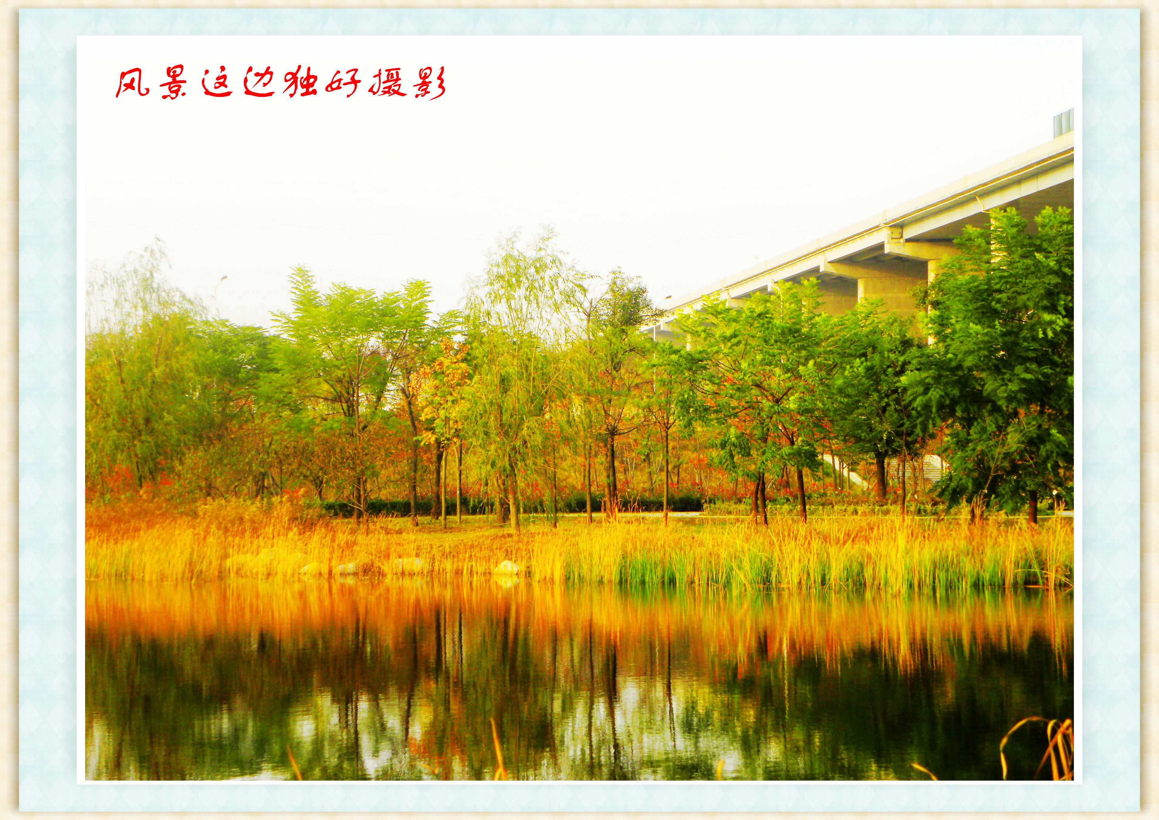 DSCN0048.JPG