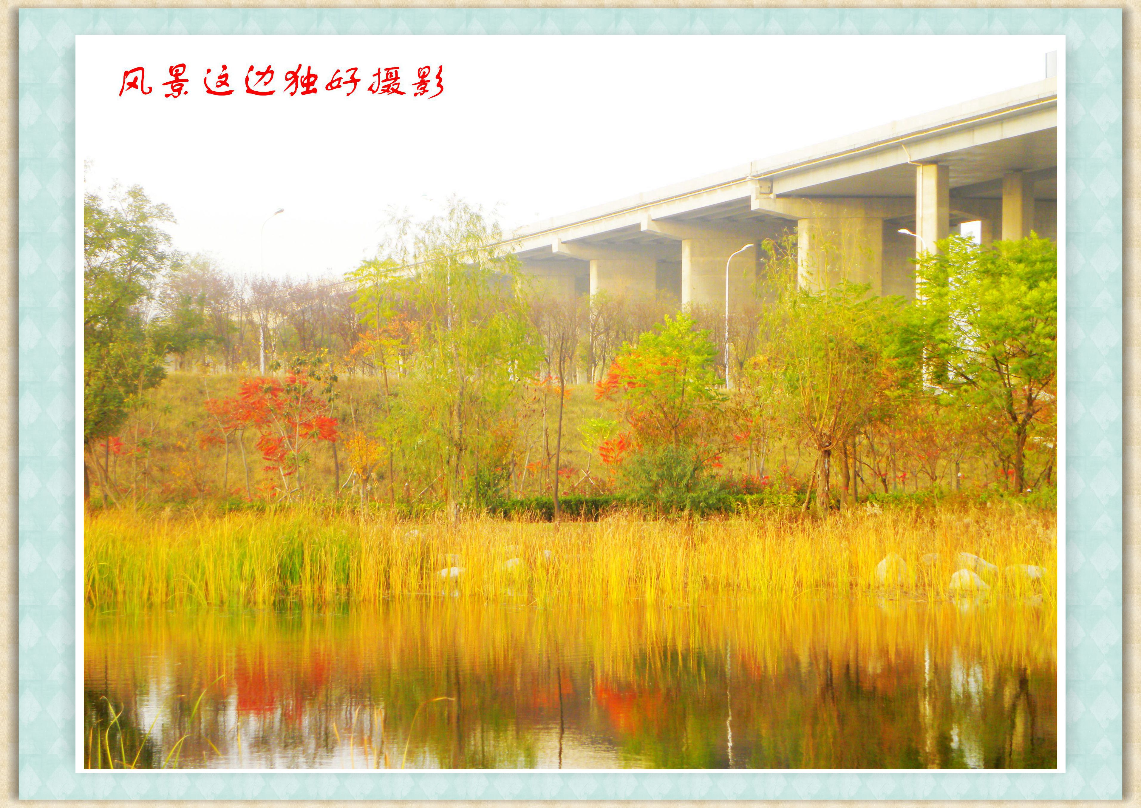 DSCN0061.JPG