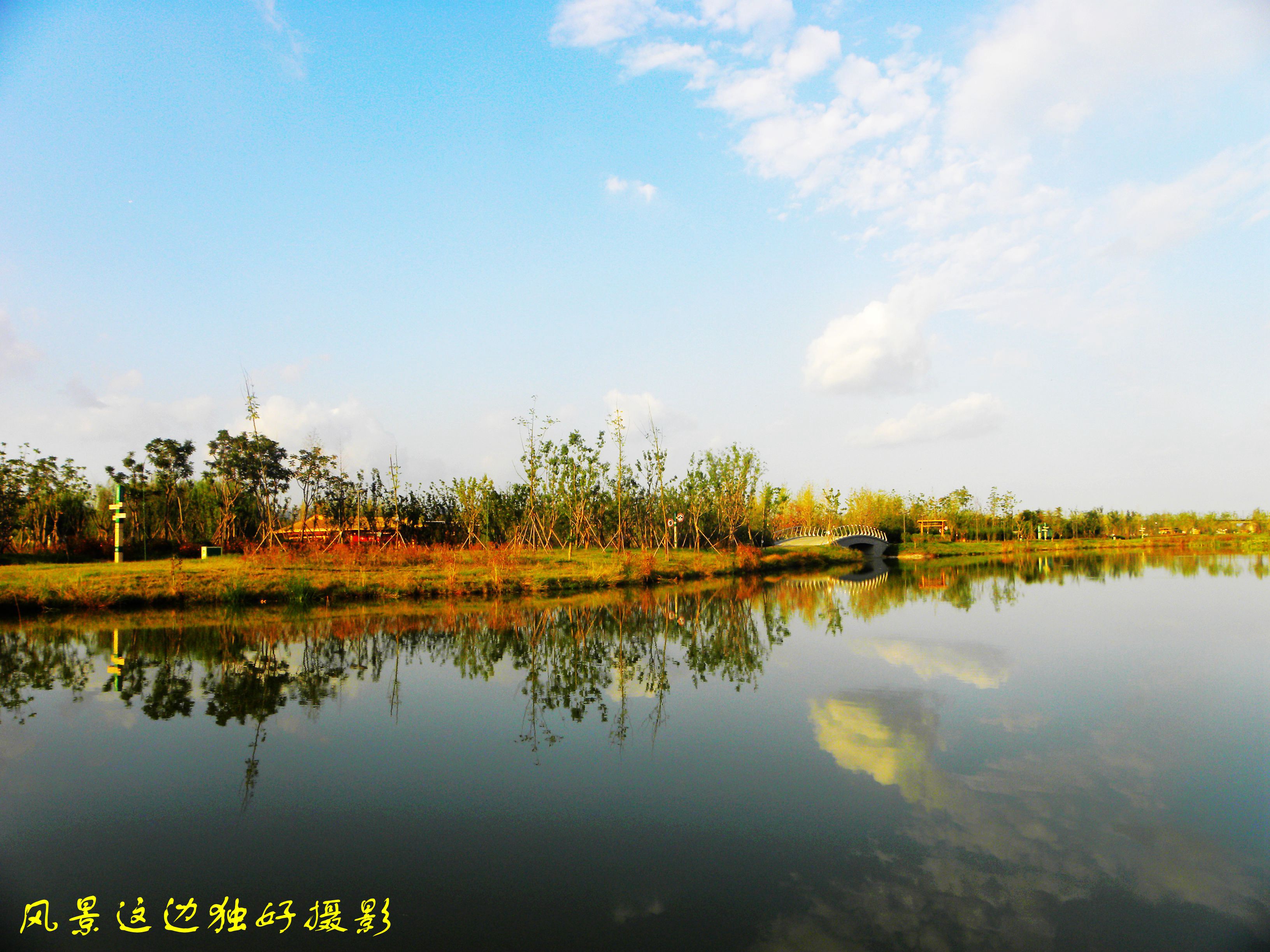 DSCN7664.JPG