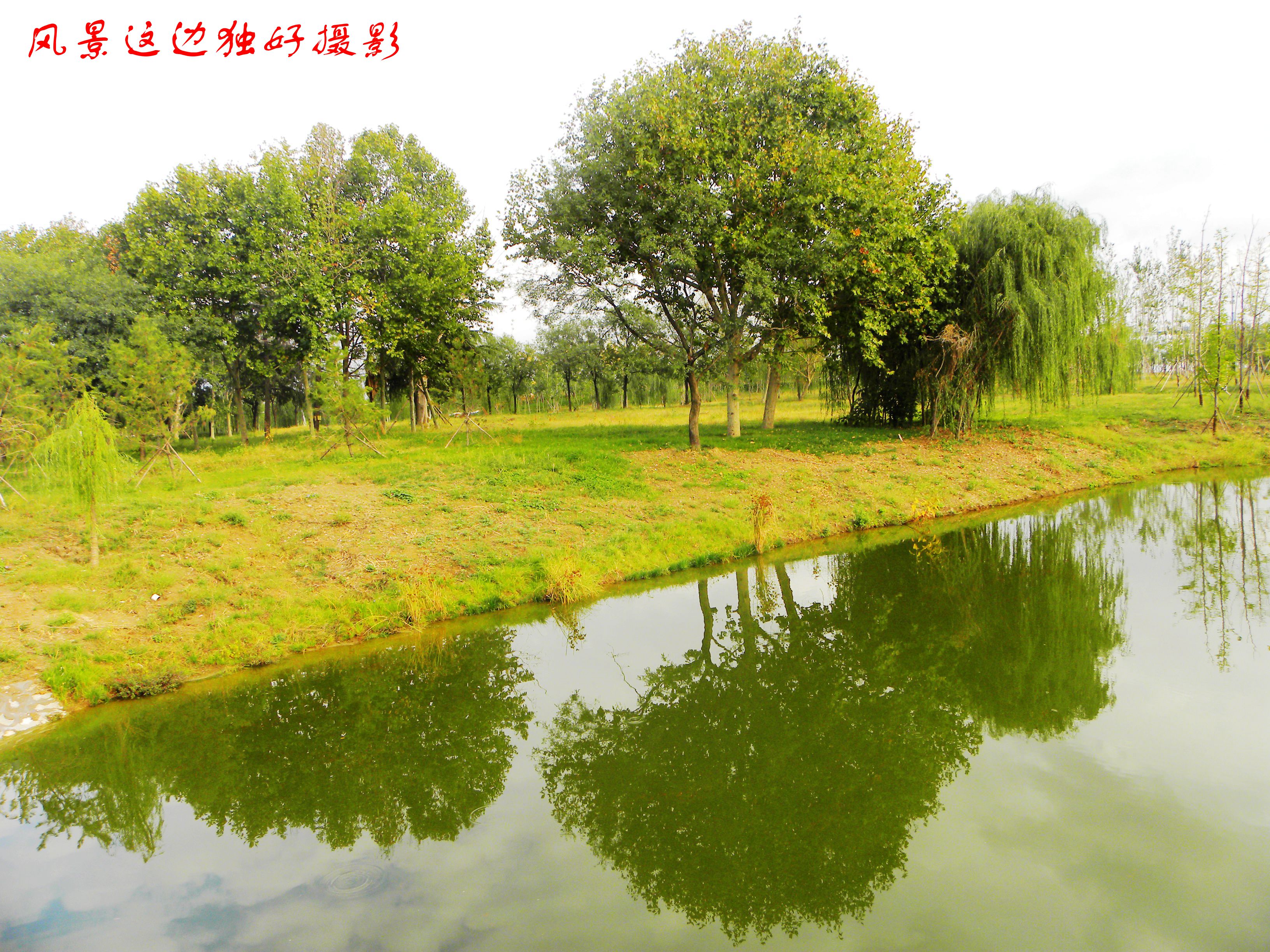 DSCN7646.JPG