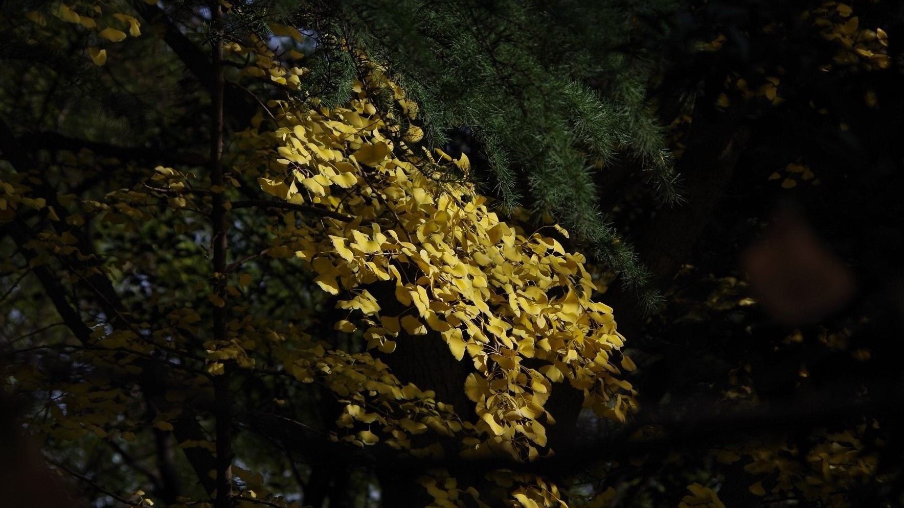 X}95HMFWFB$DT@VGYF2R]60.jpg