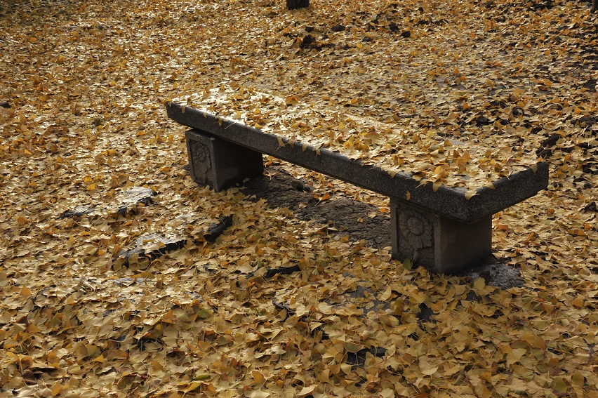 DSC_5022.JPG