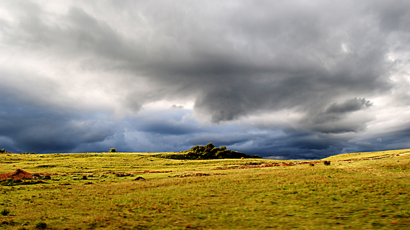 DSC_0454.jpg