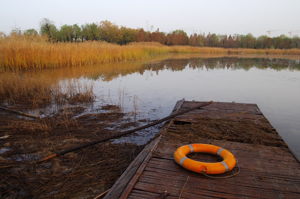 IMGP4523 (复制).jpg