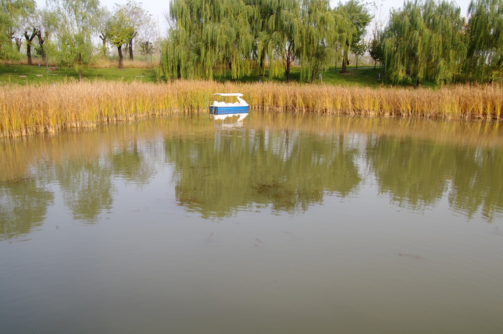 IMGP4551 (复制).jpg