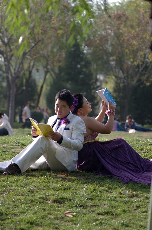 IMGP4603 (复制).jpg