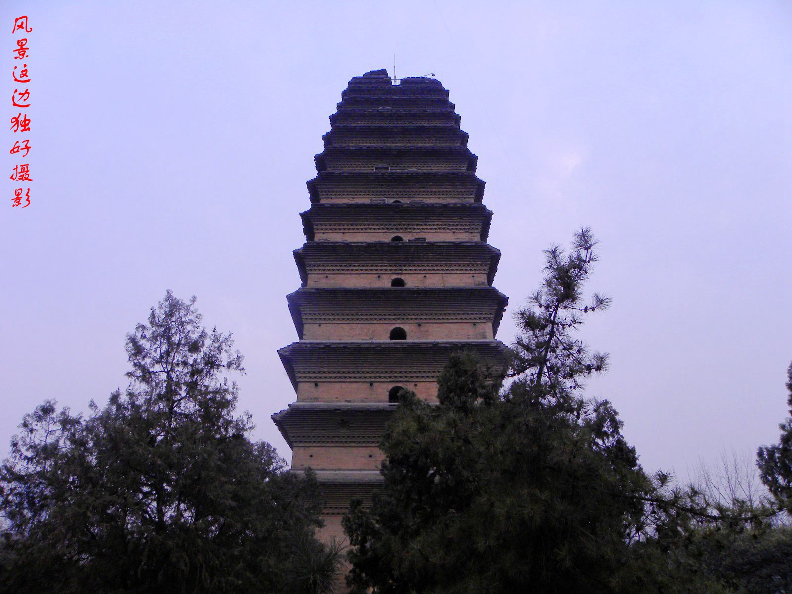 DSCN7882.JPG