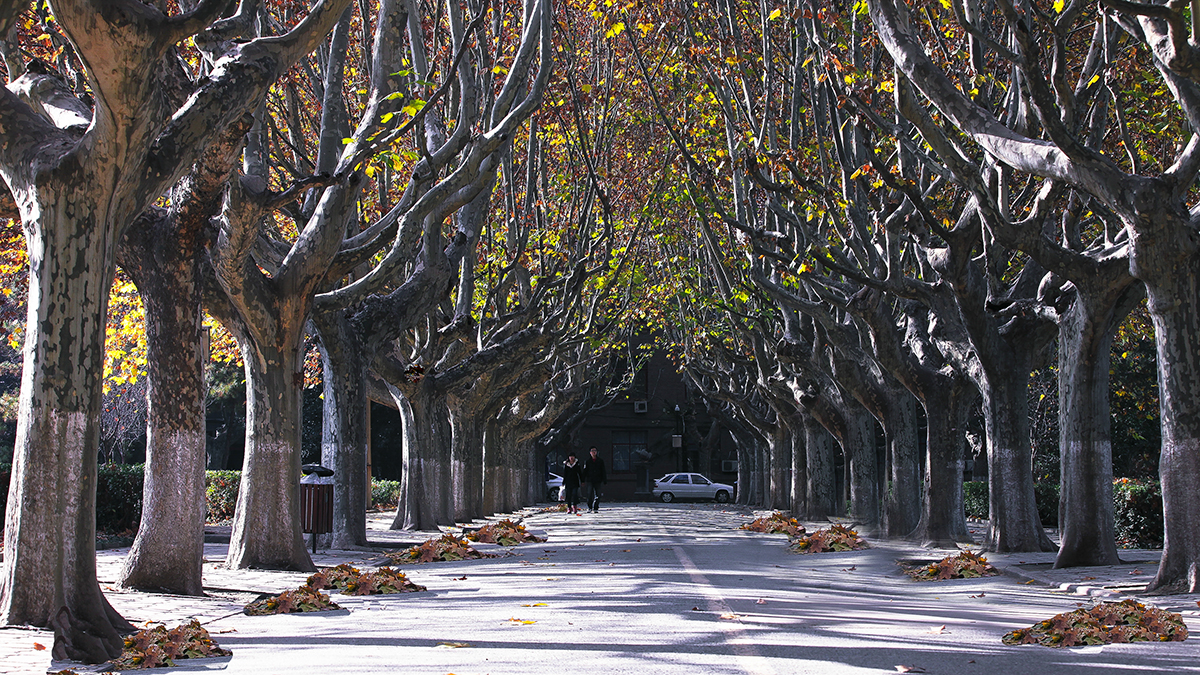 20131127_0922.jpg