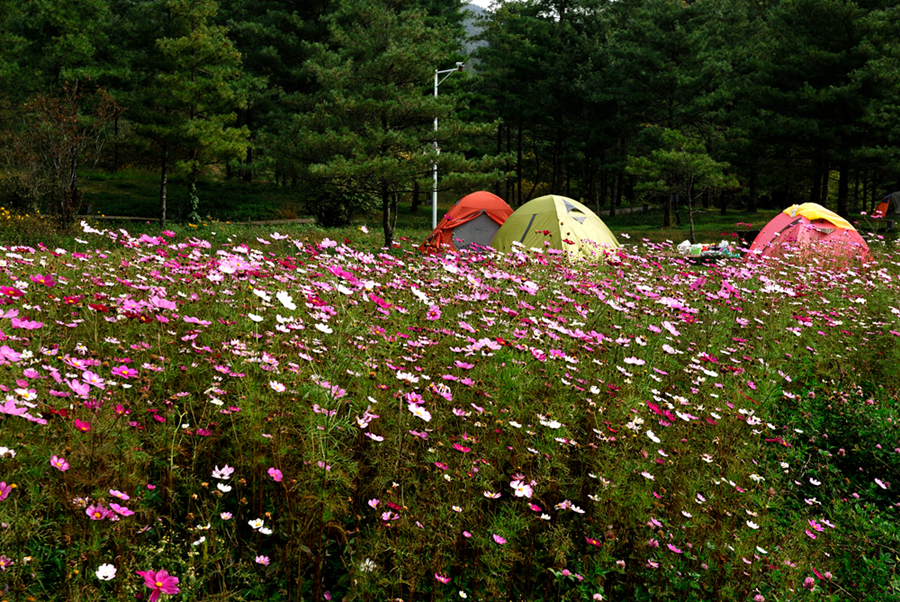_DSC0307.jpg