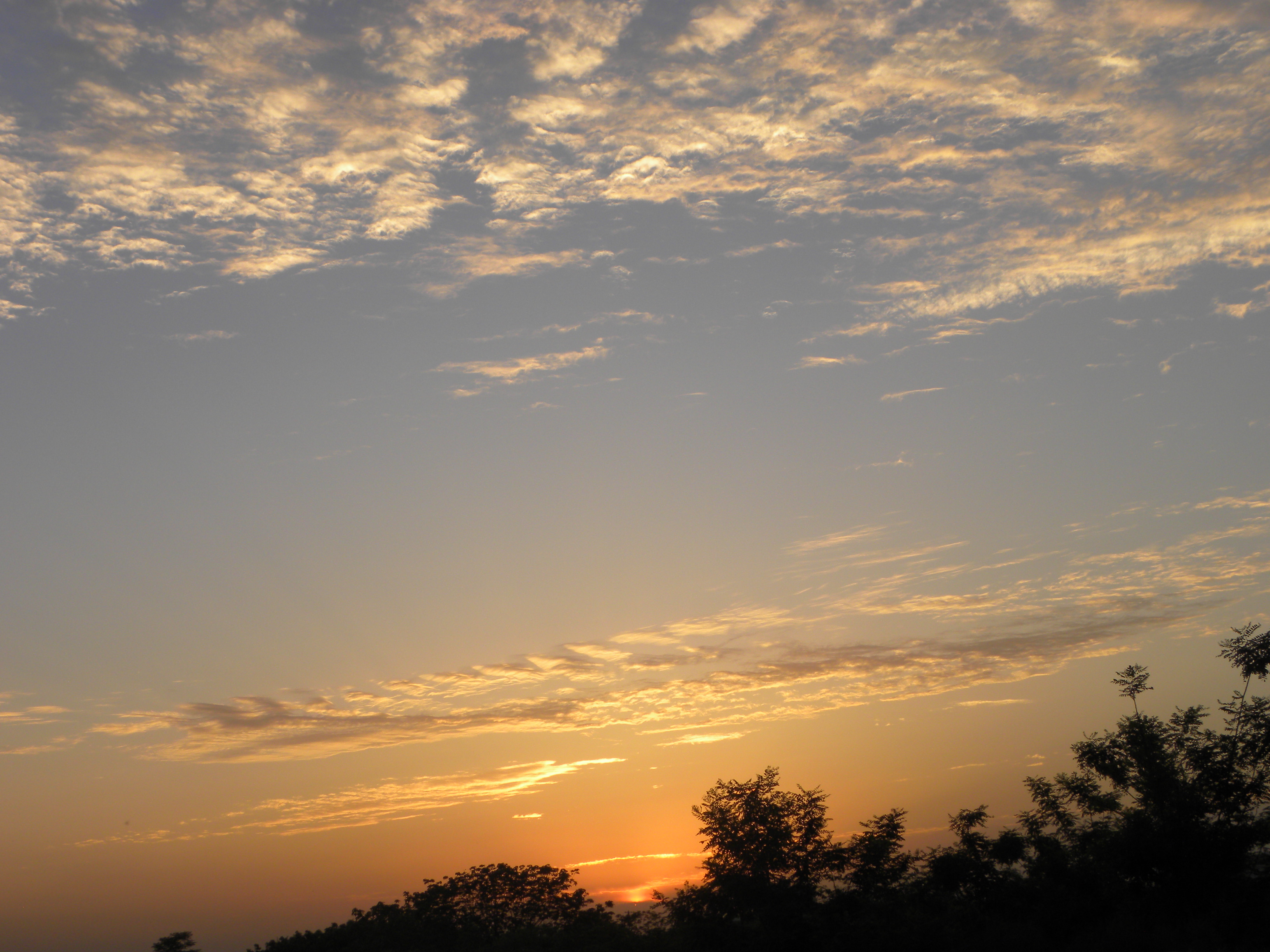 DSCN8159.JPG