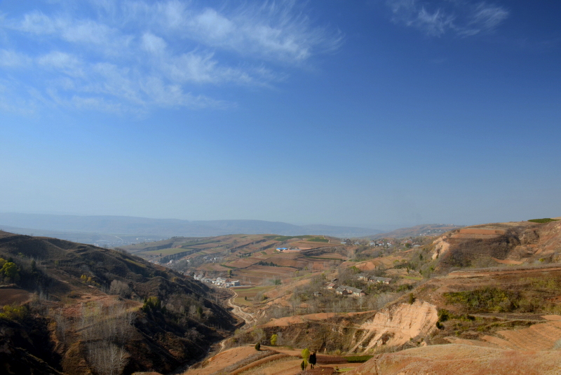 DSC_4223.JPG
