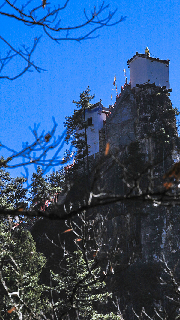 20131130_1240.jpg