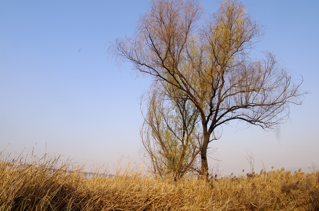 IMGP5944 (复制).jpg