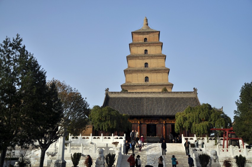 DSC_0248_conew1.jpg