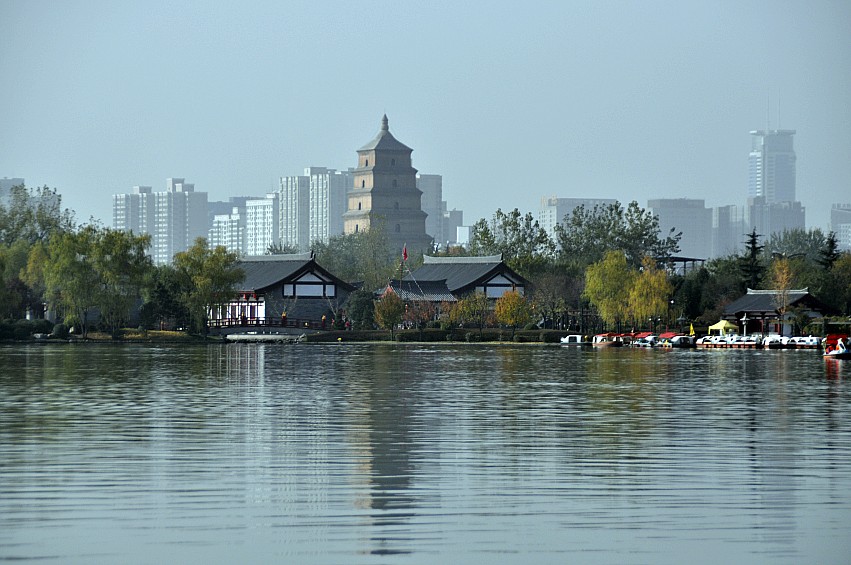 DSC_0135_conew1.jpg