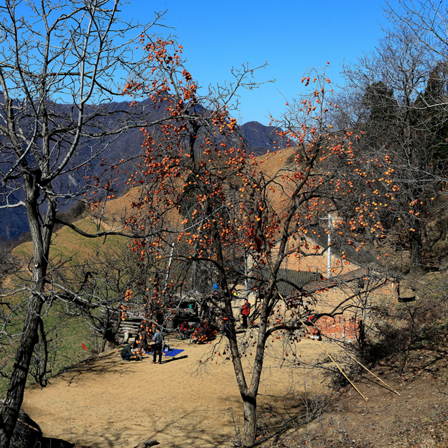 IMG_9753.jpg