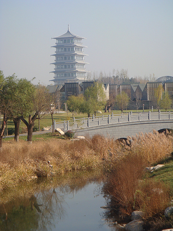 DSC02457_副本.jpg