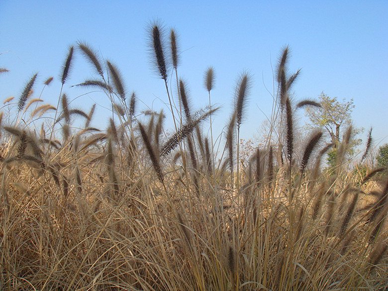 DSC02462_副本.jpg