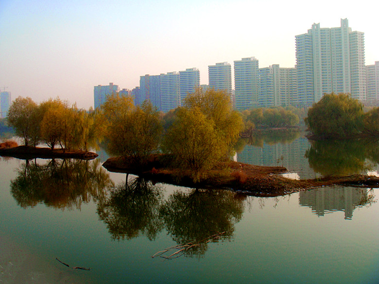 DSC02500_副本.jpg