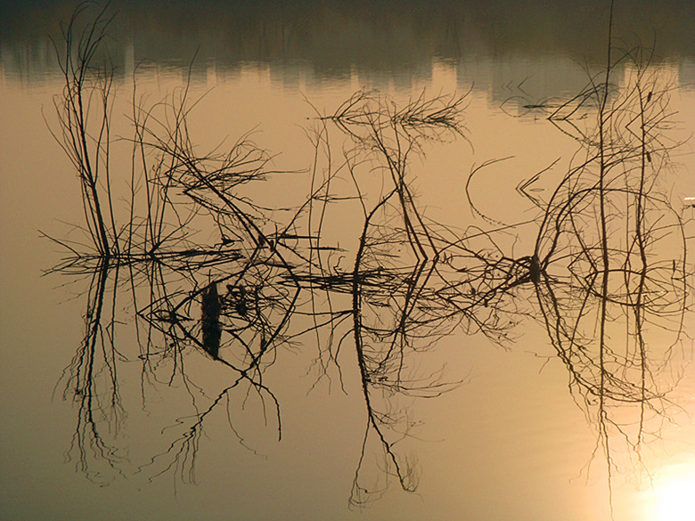 DSC02509_副本.jpg