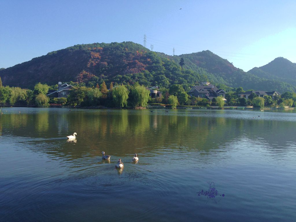 山水1.jpg