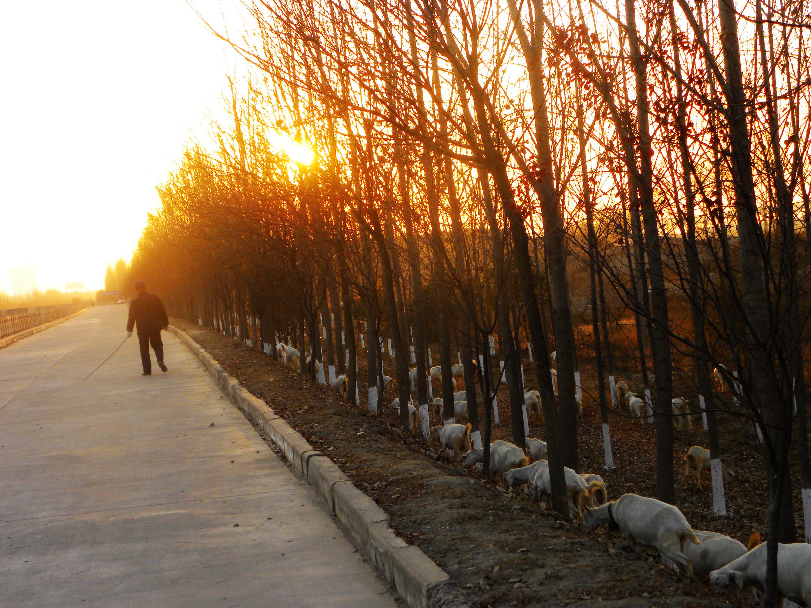DSCN0352.JPG