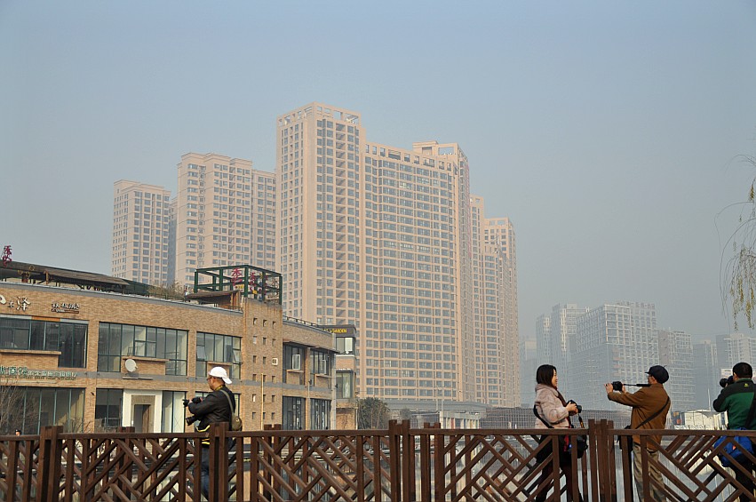 DSC_0359_conew1.jpg