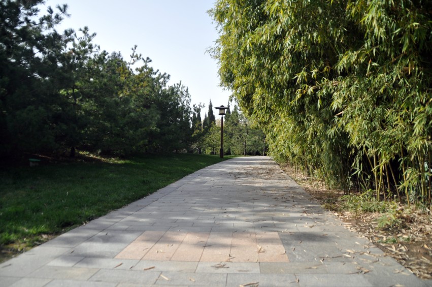 DSC_0017_conew1.jpg