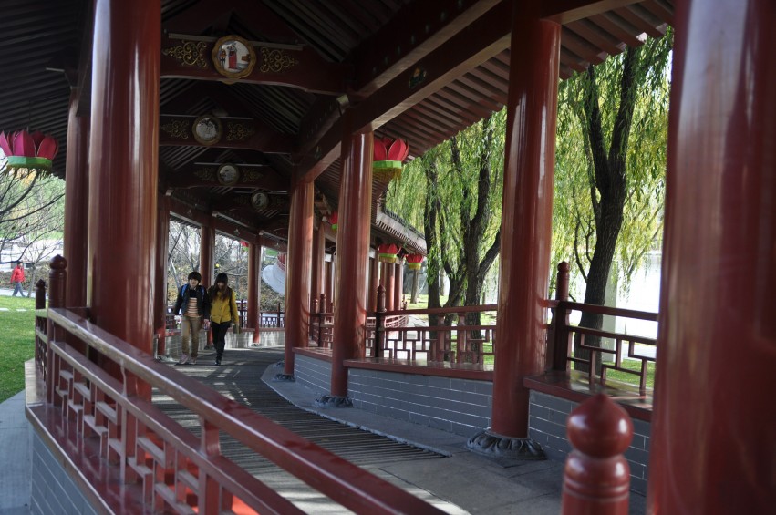 DSC_0039_conew1.jpg