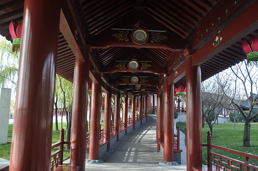 DSC_0133_conew1.jpg