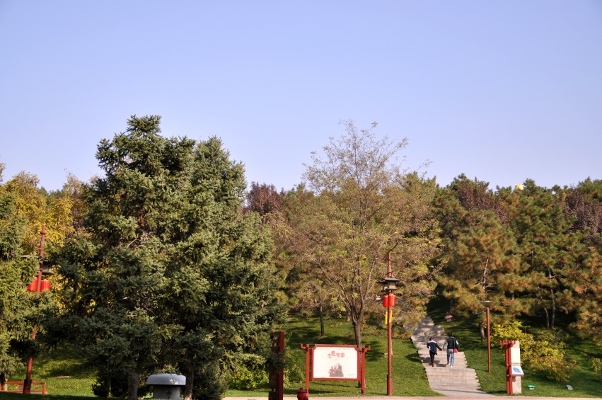 DSC_0015_conew1.jpg